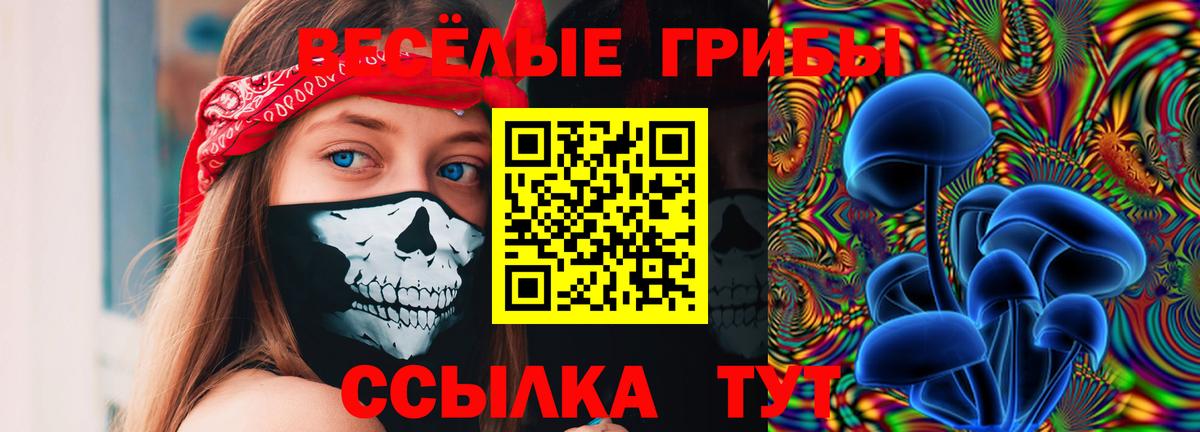Рязань  закладка  Вход с VPN  Галлюциногенные грибы ЛСД 